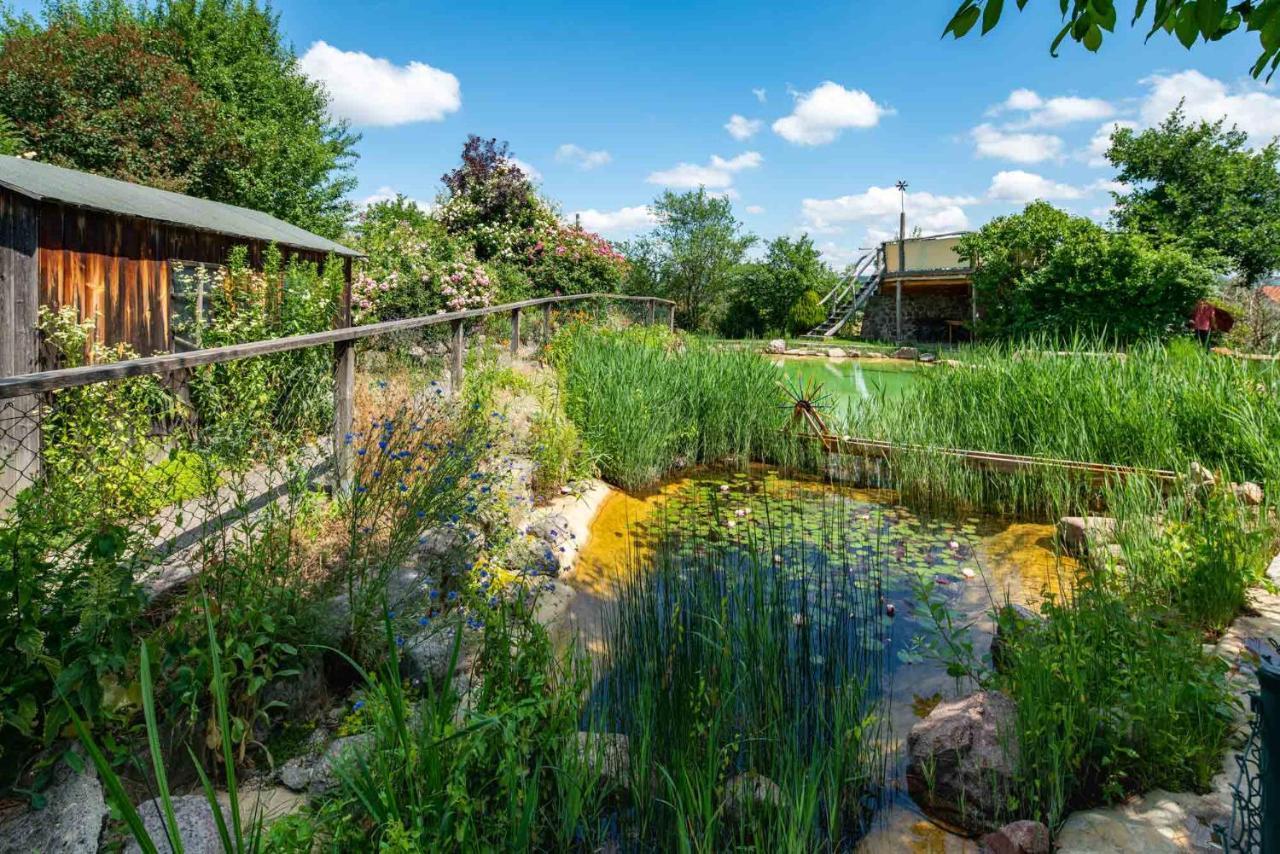 Landhotel Gut Wildberg Meissen Bagian luar foto